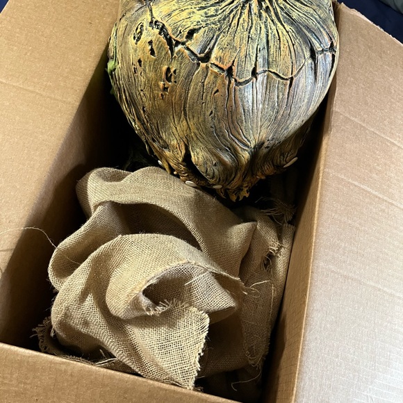 Jack o lantern costume from Horrordome - Picture 7 of 7